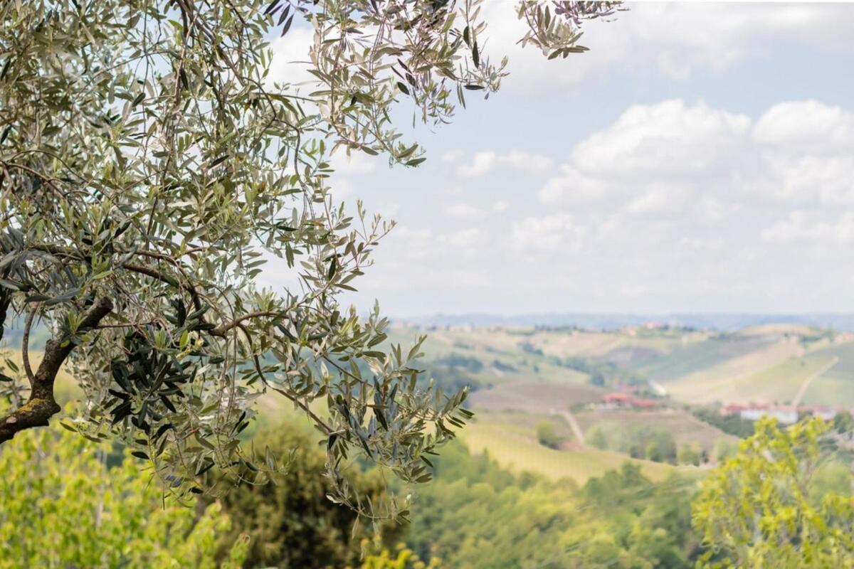 Tra Vigne E Stelle Neive
