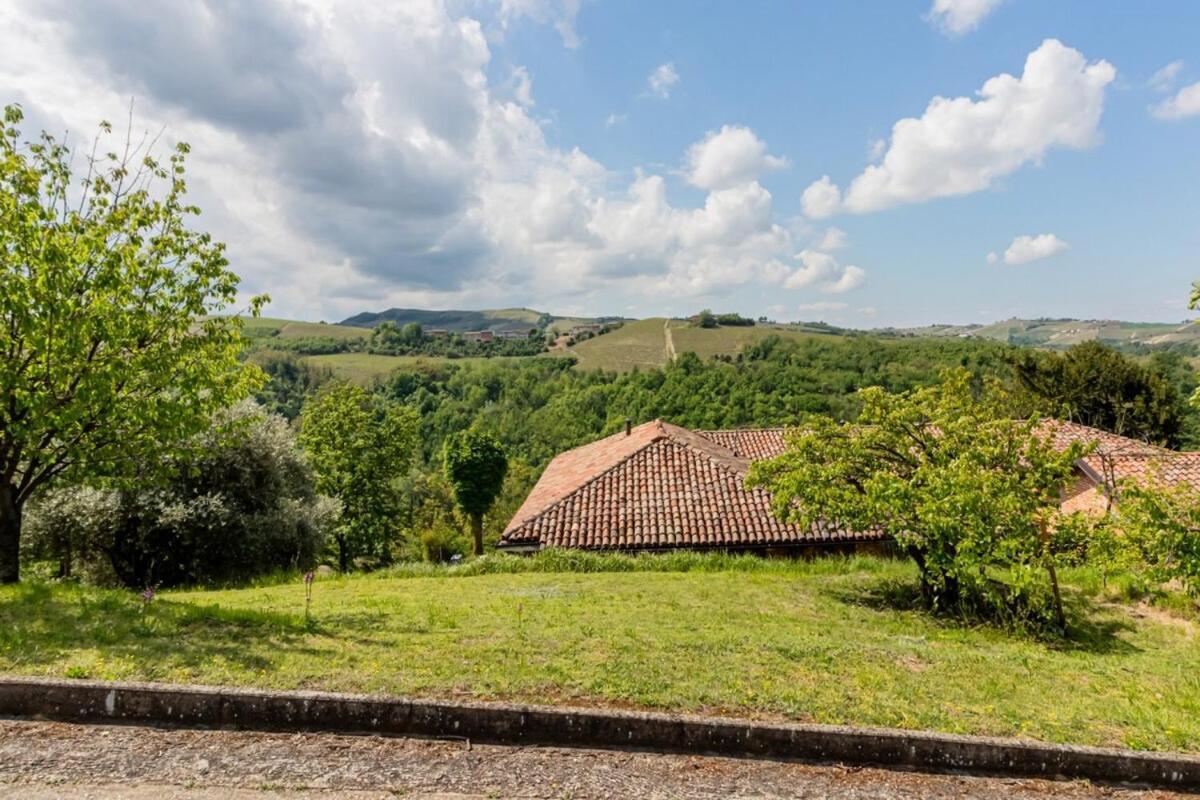 Tra Vigne E Stelle