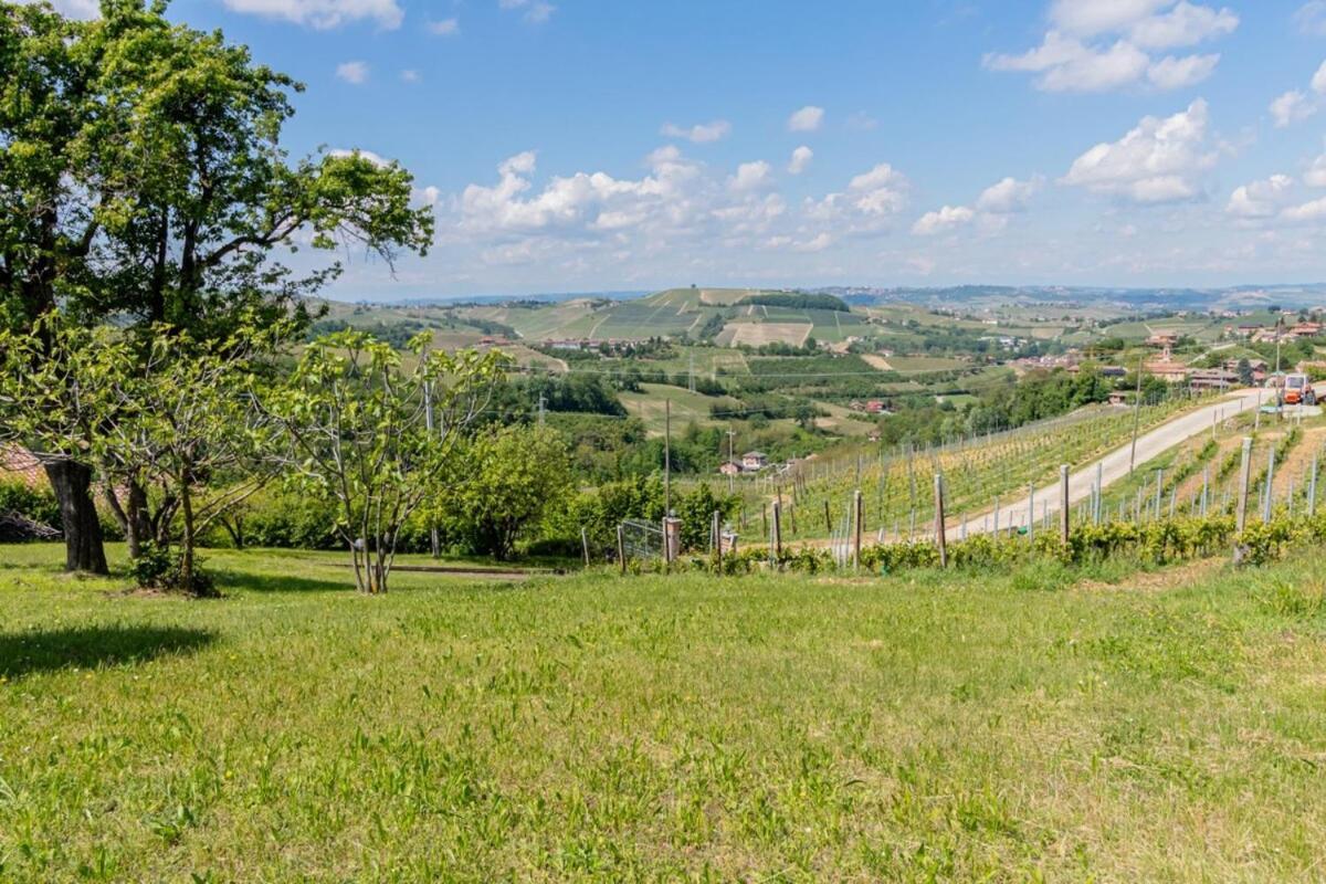 Tra Vigne E Stelle