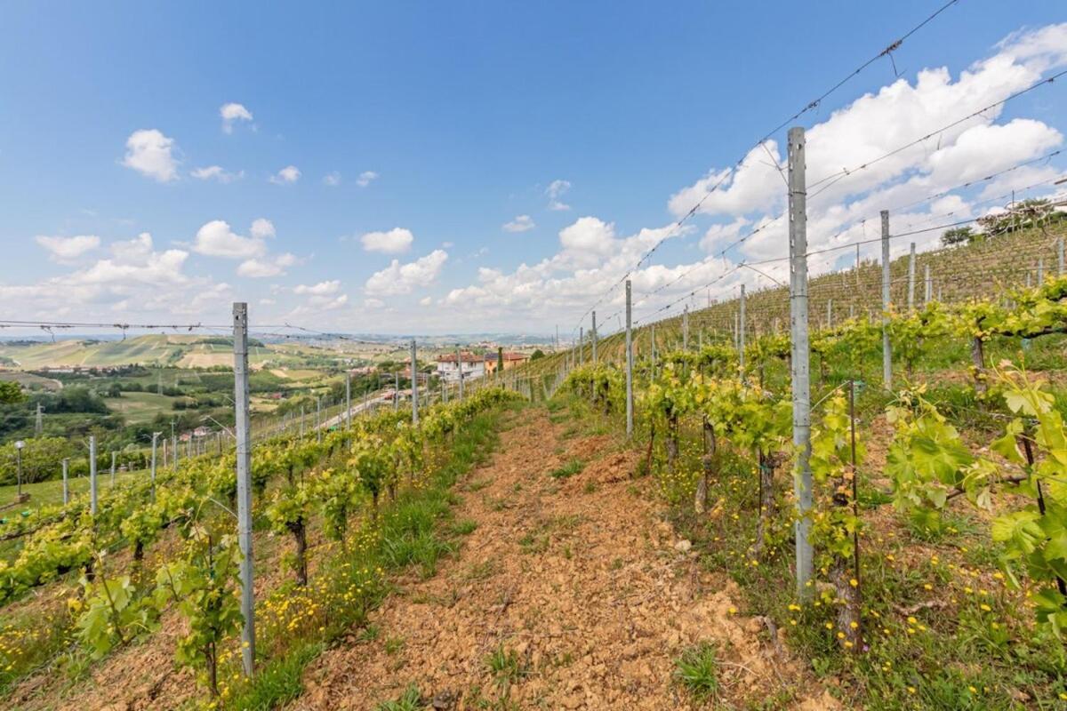 Tra Vigne E Stelle Holiday home *