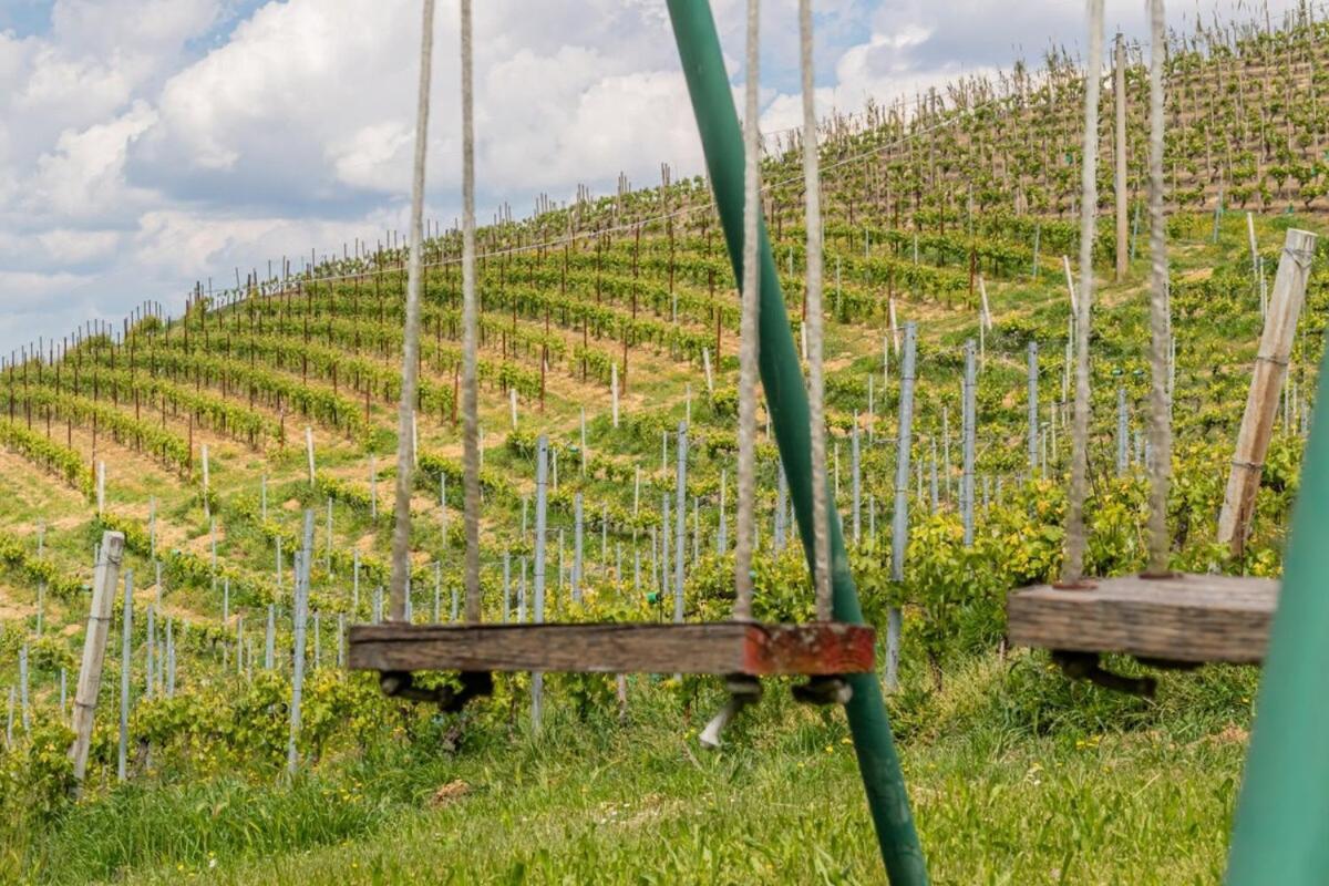 Ferienhaus Tra Vigne E Stelle *